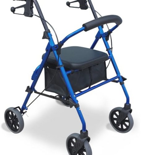 Redgum Seat Walker 8 Wheels - Blue